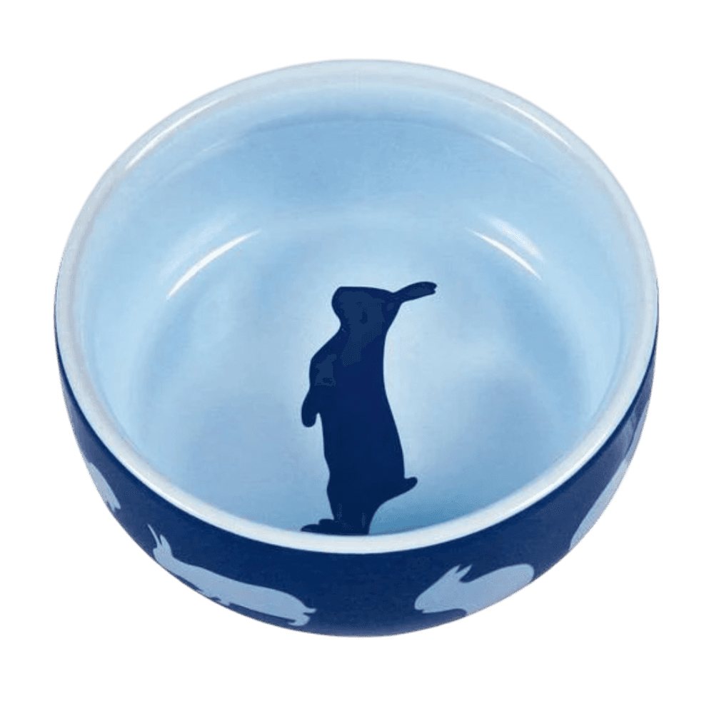 Ceramic Bowl With Rabbit Motif for Small Pets