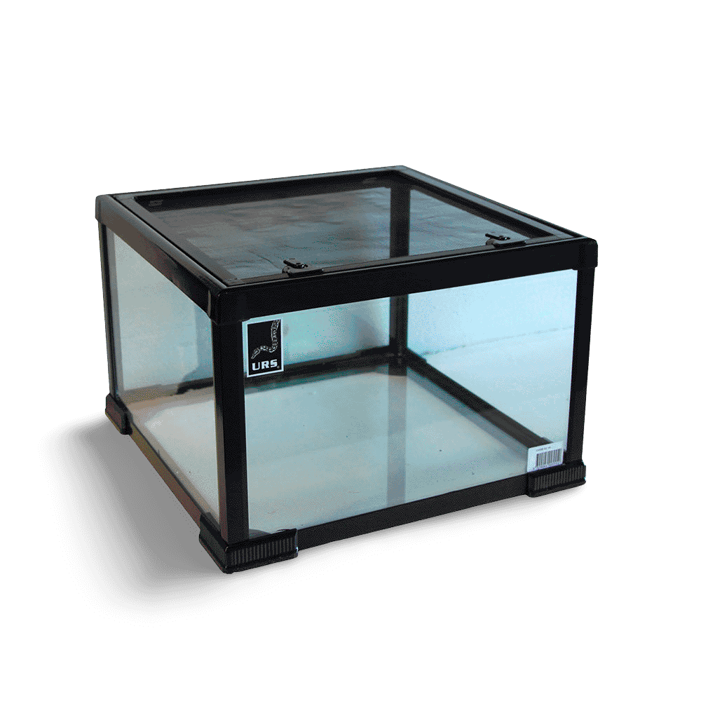 Micro Terrarium
