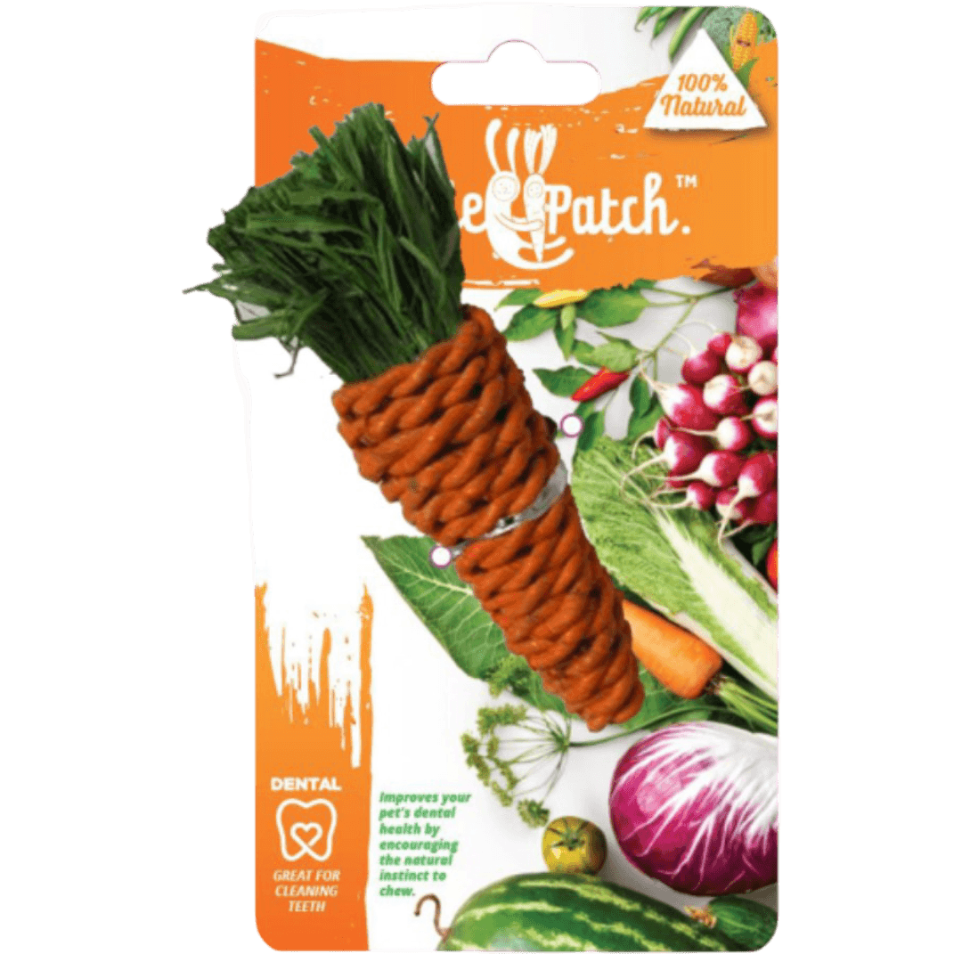 Veggie Patch Carrot Small Animal Chew Toy With Seagrass And Corn Husk