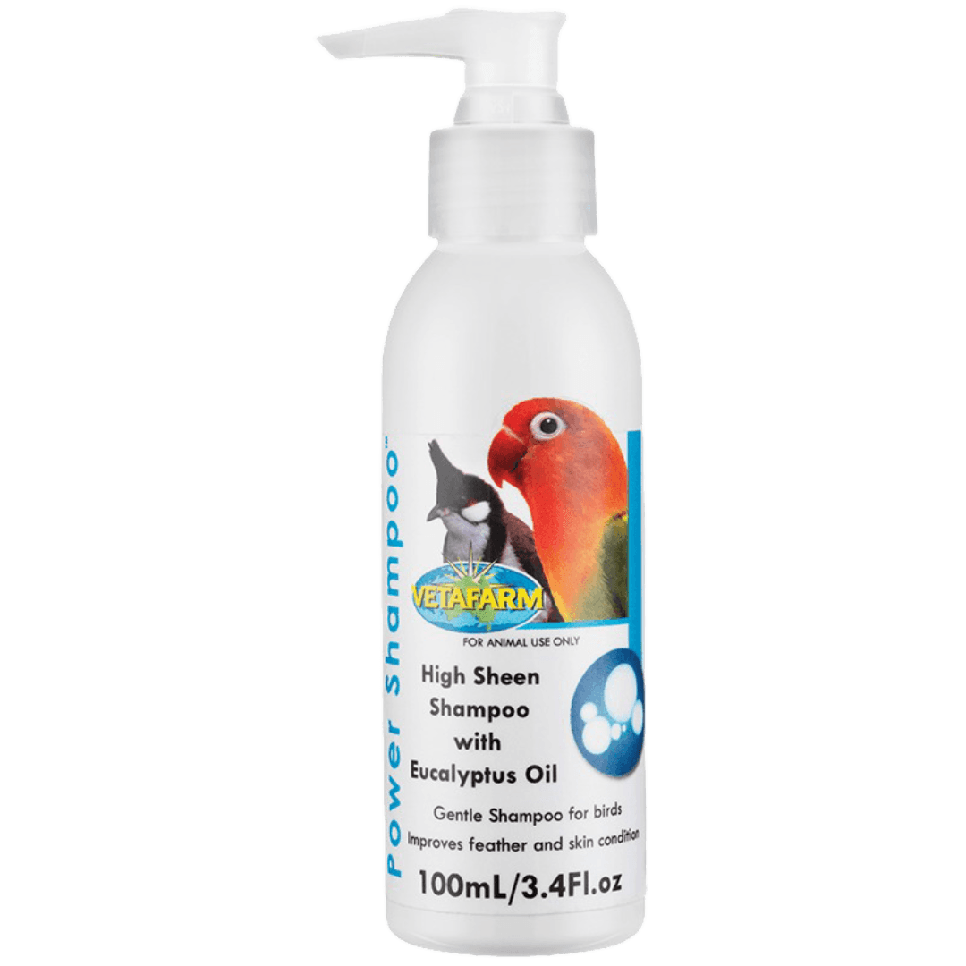Bird Power Shampoo