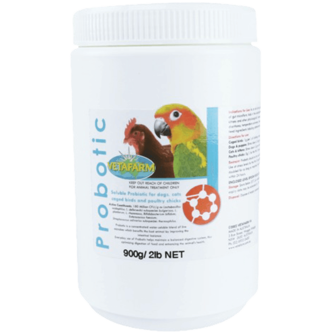 Bird Probotic