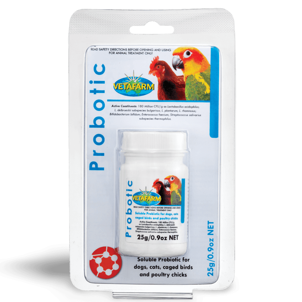 Probotic for Birds and Animals