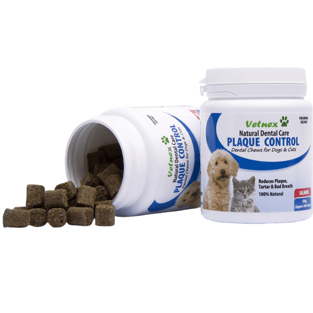 Natural Dental Care Plaque Control Soft Chews Salmon For Cats and Dogs