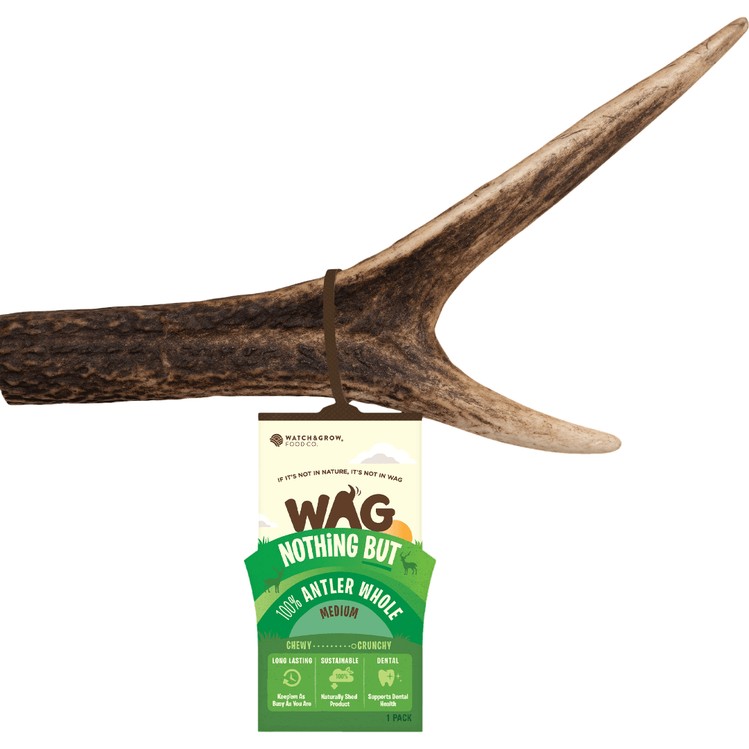 Dog Treats Antler Whole