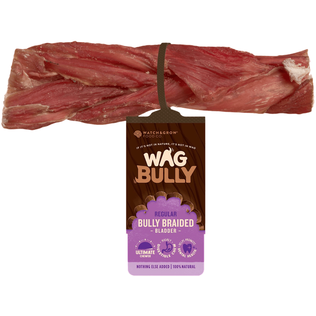 Dog Treats Braided Bully Stick Regular