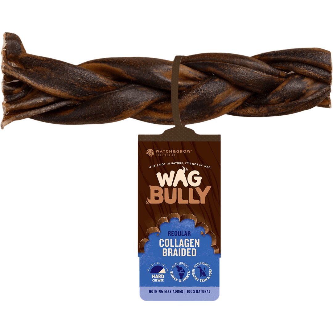 Braided Collagen Stick for Dogs Regular