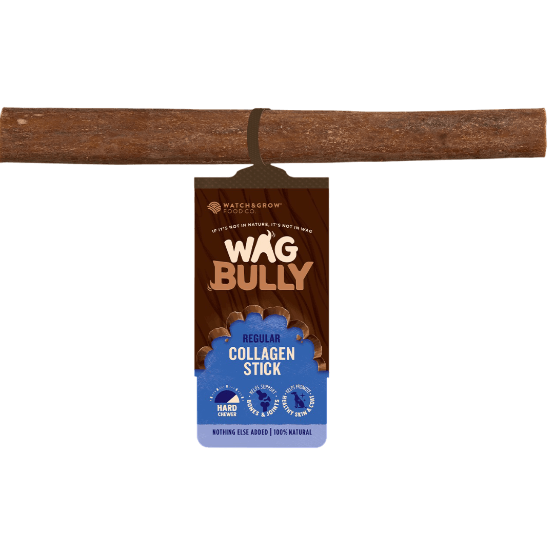 Collagen Stick Dog Chew Treat Regular