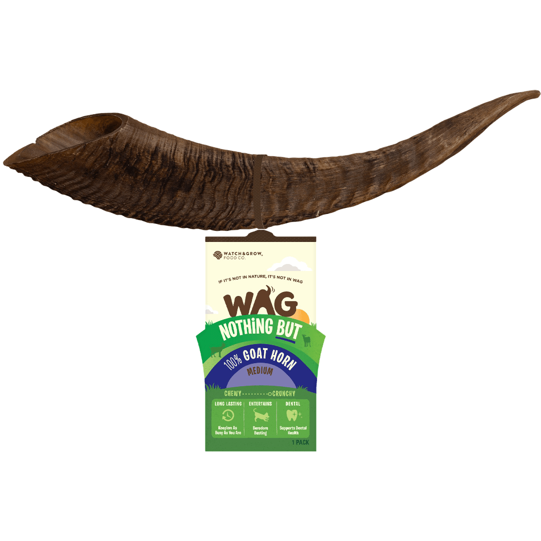 Wag Goat Horn Chew Treat for Dogs