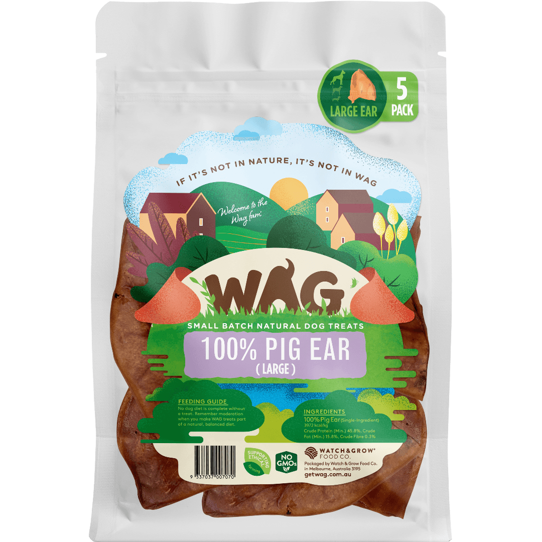 Pig Ear Large Dog Treats