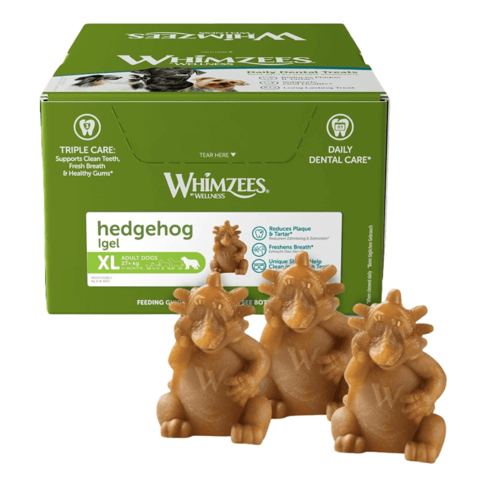 XL Hedgehog Dental Bulk Box Dog Treats