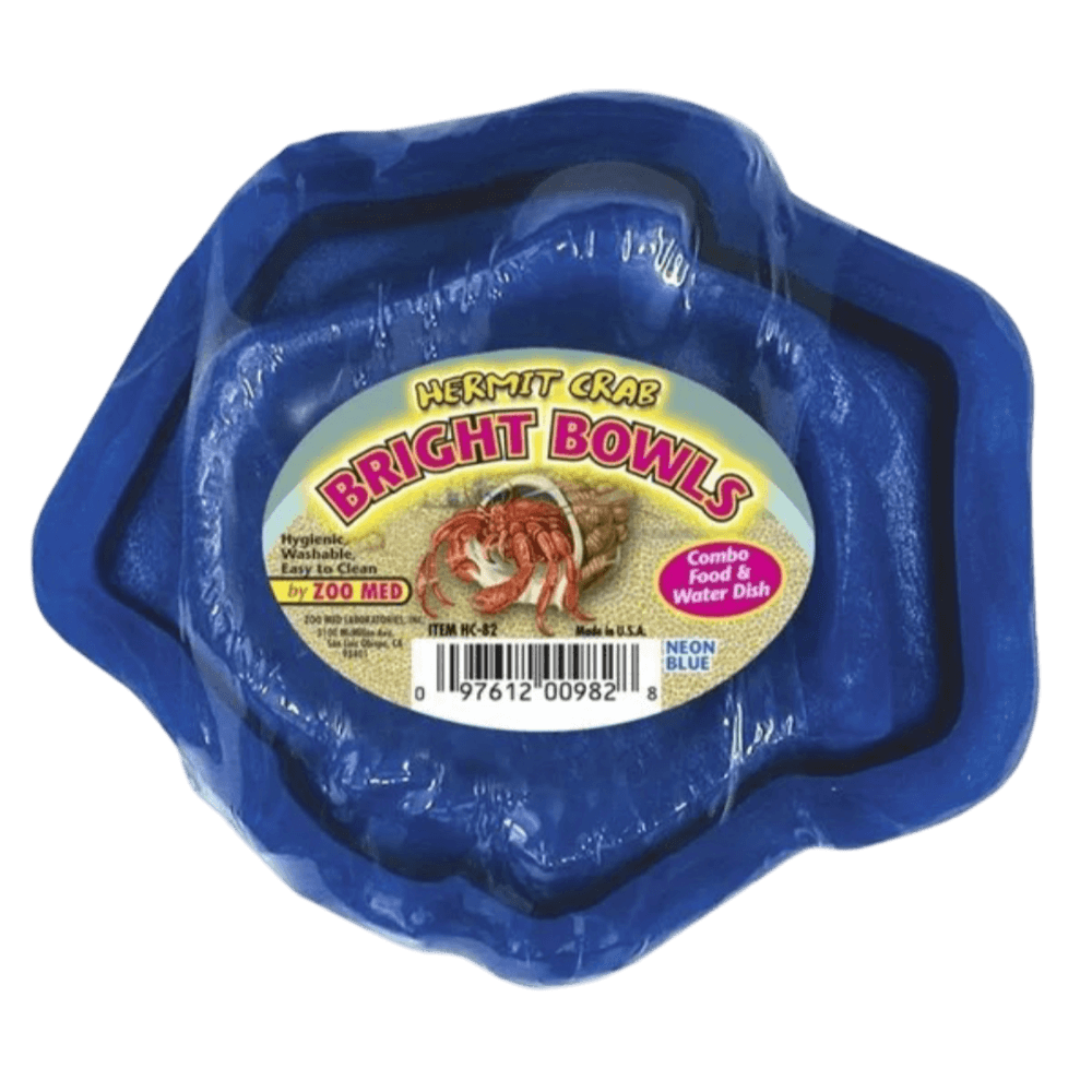 Hermit Crab Bright Water Food Bowl Neon Blue